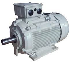 IEC Cast Iron IE3 Motors (ALCA) thumbnail